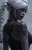 Morrianna Blackwater