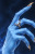The Hand
