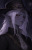 Saerith Velkynryn
