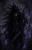 The Night Father