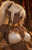 Sylrae