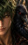 Revyn Andaren