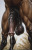 Eyron Wildhoof